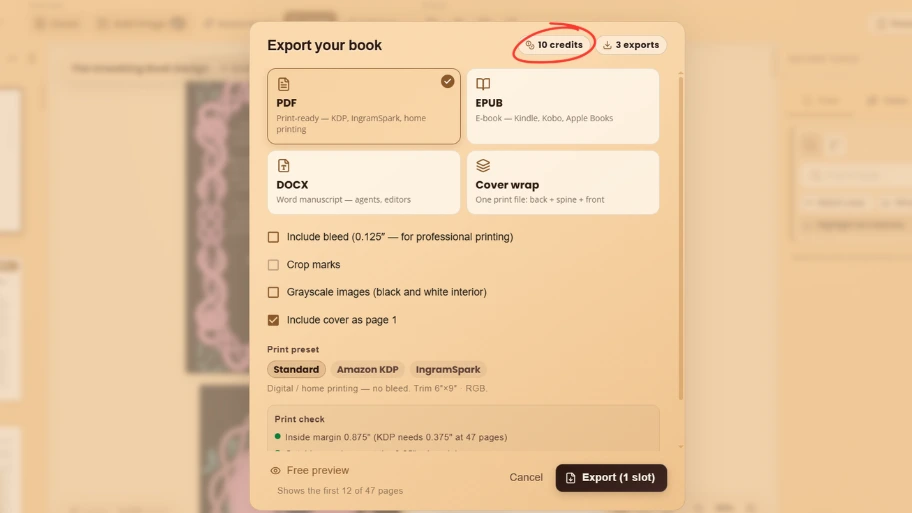 WriteO export modal showing available export credits
