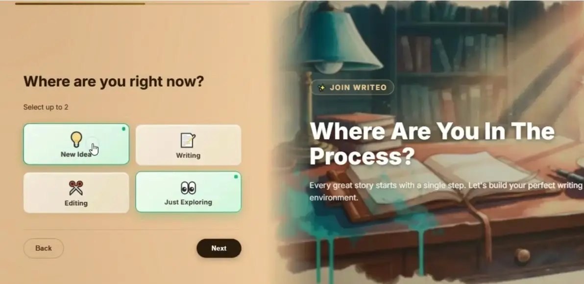 WriteO wizard step asking what you are working on, with an option selected